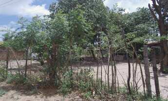 Imagem 5: Terreno à venda, 4000 m² por R$ 220.000 - Jardins - São Gonçalo do Amarante/Rio Grande do