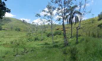 Imagem 6: FAZENDA ÀS MARGENS DA BR 393 - VASSOURAS - 23,8 ALQ. MINEIROS