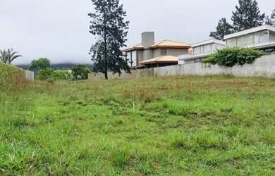 Imagem 4: NOVA LIMA - Loteamento/Condomínio - Alphaville - Lagoa dos Ingleses