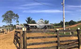 Imagem 2: Machadinho D'Oeste - Sítio - 22 alqueires