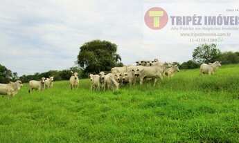 Imagem 2: Paranapanema SP 98 alqs Dupla Aptidão fundo p/ Represa