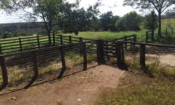 Imagem 3: Vendo fazenda com 88 alqueires à 95 KM de Palmas TO