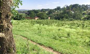 Imagem 6: Fazenda/Sítio/Chácara para venda com 6 alqueires