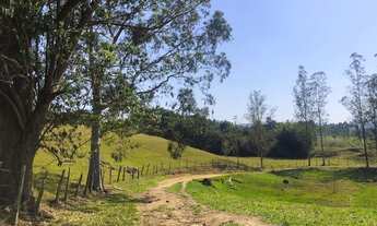 Imagem: Fazenda à venda,82 hectares por R$ 3.400.000