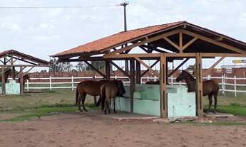 Imagem 2: Casa no Condomínio Green Ville para venda com 3 quartos