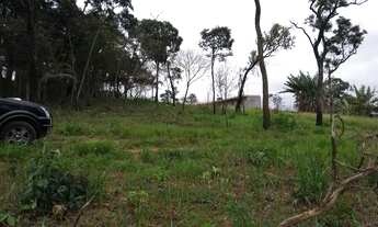 Imagem 5: Lindo terreno para chácara com tudo perto