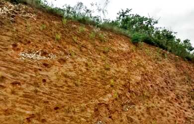 Imagem 6: Nova Lima - Loteamento/Condomínio - Vila Del Rey