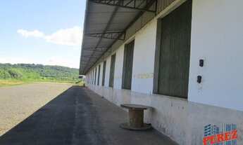 Imagem 2: LONDRINA - Galpão/Depósito/Armazém - SAIDA PARA CURITIBA