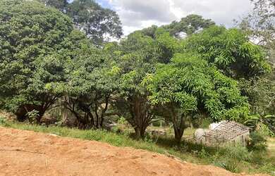 Imagem 4: Terreno à venda, 3000 m² por R$ 255.000,00 - Centro - Pedra Bela/SP