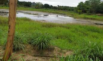 Imagem 6: Oportunidade de venda. Sítio Palmeropolis TO