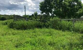 Imagem 4: Excelente Fazenda - Itapirapuã