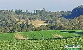 Imagem 2: Fazenda de 58 hectares para soja, Sentinela do Sul, confira!