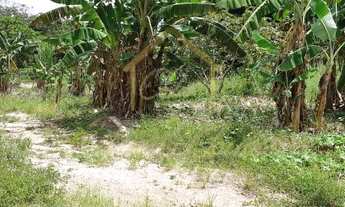 Imagem 4: Fazenda/Sítio/Chácara para venda com 60 metros quadrados em c - Santo Antônio do Leverger