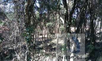 Imagem 6: ** Lindo terreno **