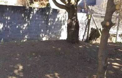 Imagem 7: Sítio / Chácara para Venda em Itupeva, 18 do Forte, 1 dormitório, 1 banheiro, 10 vagas