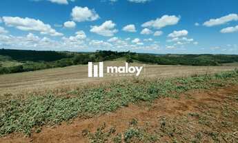 Imagem 6: Fazenda para Venda em Vera Cruz do Oeste, Zona Rural