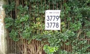 Imagem 7: Porto Alegre - Terreno Padrão - Jardim Botânico