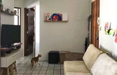 Imagem 5: Apartamento com 2 dormitórios à venda, - Canasvieiras - Florianópolis/SC