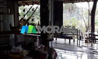 Imagem 3: BALDIM - Fazenda - Zona Rural