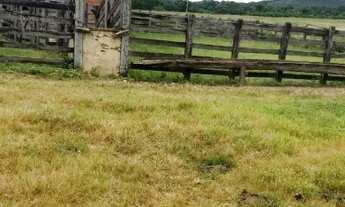 Imagem 4: EXCELENTE FAZENDA LOCALIZADA NO CENTRO OESTE GOIANO, 180 KM DISTANTE DE BRASÍLIA