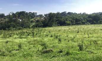 Imagem 4: Fazenda/Sítio/Chácara para venda com 6 alqueires