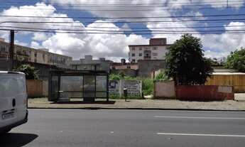 Imagem 4: Lote/Terreno para venda com 536 metros quadrados em Água Verde - Curitiba - PR