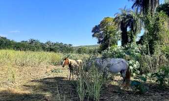 Imagem 2: 20.000m² com Rio nos fundos e terra de plantio