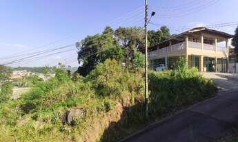 Imagem 3: Gaspar - Padrão - Bela Vista