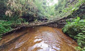 Imagem 4: Linda área na Graciosa 3.616 M2 no asfalto