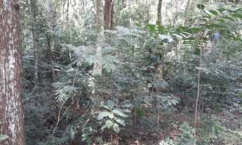 Imagem 4: Chácara à venda, 4 quartos, 5 vagas, Bela Vista - Pindamonhangaba/SP