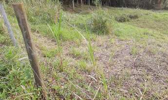 Imagem 7: Super BARBADA no Sertão do Ribeirão da Ilha em Florianópolis