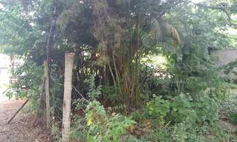 Imagem 6: Ponte Nova - Loteamento/Condomínio - Vale Suiço