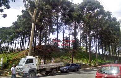 Imagem 5: Área à venda, 10909 m² por R$ 9.273.000,00 - Pinheirinho - Itaquaquecetuba/SP