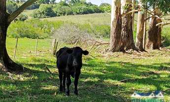 Imagem 4: Sítio 20 hectares, com casa, galpão alvenaria e açude em Águas claras
