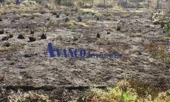 Imagem 2: Bairro do Castanho - Área de 40.000 m² para incorporação em rodovia