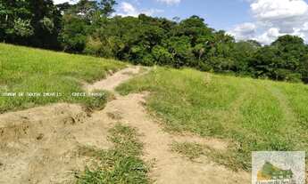 Imagem 3: Sítio de 12 Alqueires em Tatuí - SP