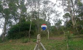 Imagem 7: Chácara com 4 dormitórios à venda, 12000 m² por R$ 290.000,00 - Grama - Juiz de Fora/MG