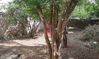 Imagem: Casa 4 quartos para Venda Vila Progresso