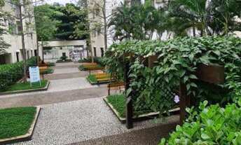 Imagem 4: Oportunidade! Lindo apartamento 3 quartos sendo 1 suíte em Campo Grande