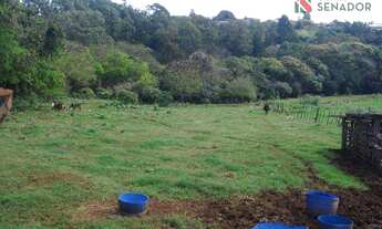 Imagem 5: Chácara com 1 dormitório à venda, 20000 m² por R$ 900.000,00 - Cilo 3 - Londrina/PR