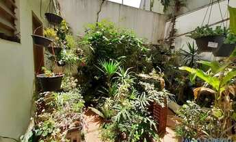 Imagem 4: LOJA - BARRA FUNDA - SP