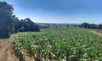 Imagem 5: Area de 27,5 alqueires todo em lavoura