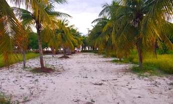 Imagem 5: Terreno/Sítio para venda/ troca/ permuta possui 20000 metros no iguape - Aquiraz - CE