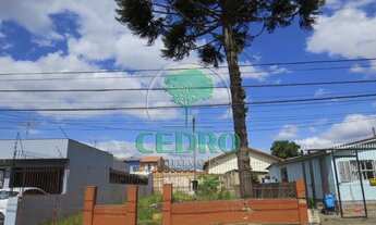 Imagem 5: Porto Alegre - Terreno Padrão - Passo das Pedras