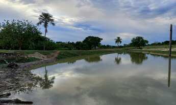 Imagem 2: Fazenda 39 alqueires Município de Varjão - GO