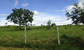 Imagem 7: Fazenda na Região do Paraíso do Manso (130km de Cuiabá-MT