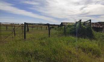 Imagem 3: Fazenda/Sítio/Chácara com 104 hectares próximo a Urucuia - MG