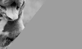 Imagem 7: APARTAMENTO - VILA OLÍMPIA - SP