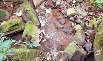 Imagem: Chácara de 1 hectare com vertentes pir