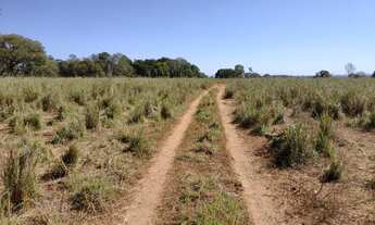 Imagem 7: Fazenda 140 Alqueires Dupla aptidão